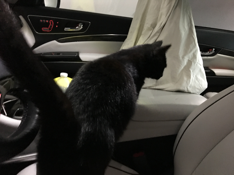 What’s back here?